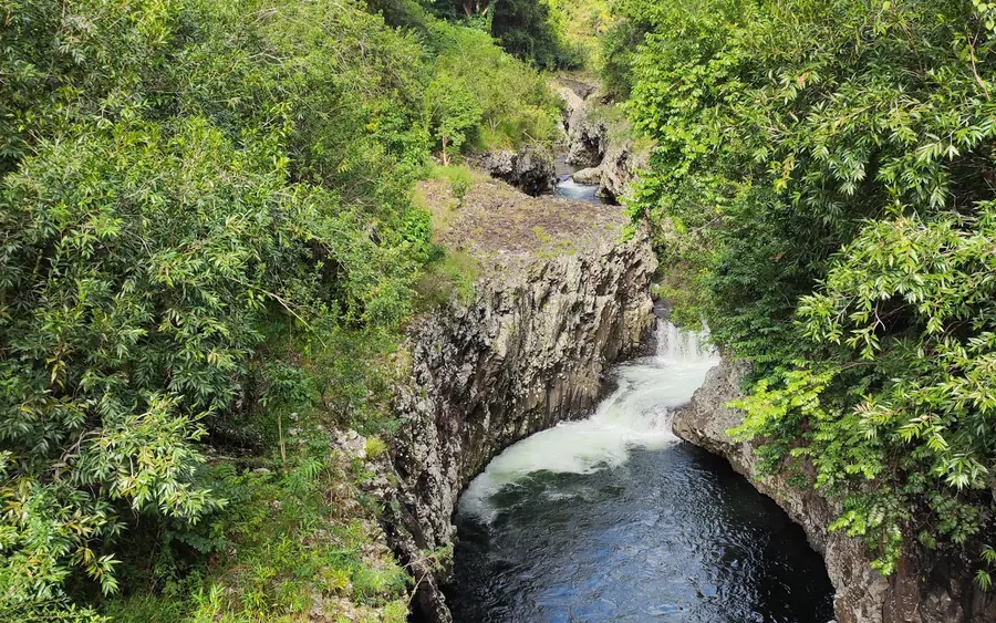 Le bassin la Paix, Bras-Panon